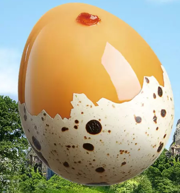 劲仔爆汁鹌鹑蛋混合味248g/袋卤蛋小包装解馋解饿零食小吃休闲食品晒单图