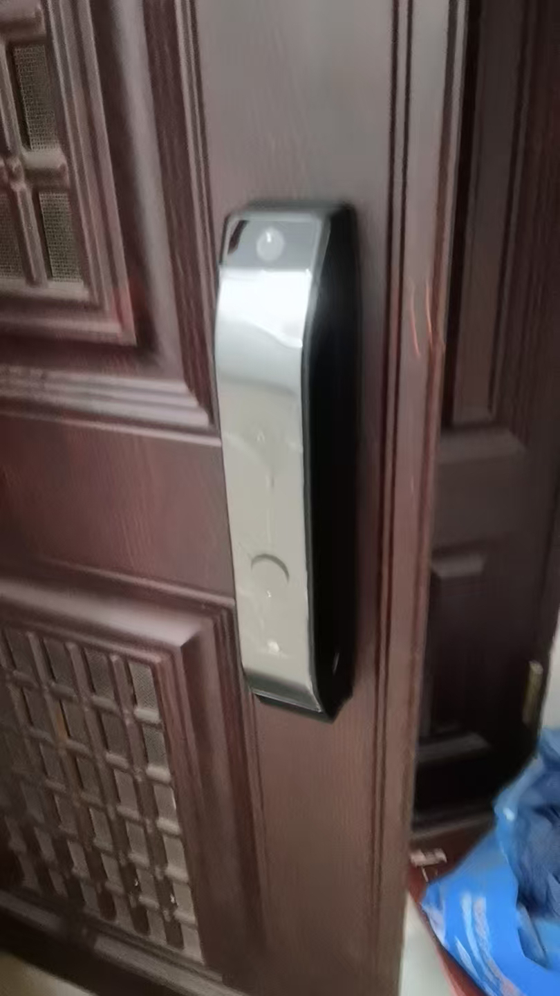 [新品首发]德施曼大圣Q5 MPro(标准版)智能门锁指纹家用全自动大屏可视猫眼密码 高端黑晒单图