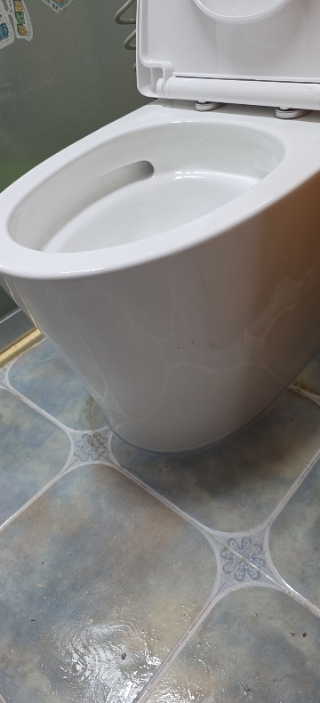 九牧(JOMOO) 大管径暴风虹吸式家用马桶 节水坐便器 11396-2-1/31KD-1晒单图