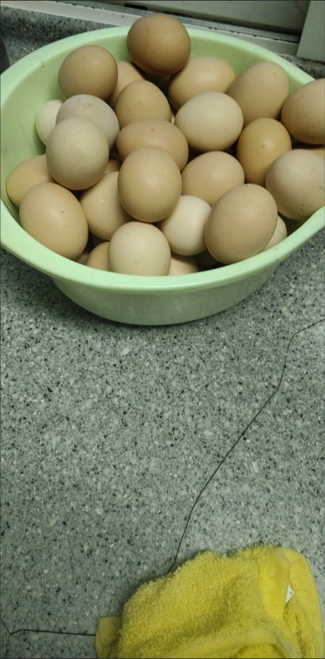 [熊猫鸟]新鲜谷物蛋 20枚装 农家散养新鲜正宗草鸡蛋笨柴鸡蛋孕妇月子蛋整箱晒单图