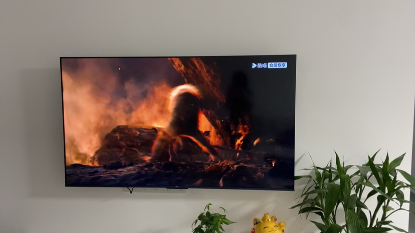 TCL电视 65V8L Pro 65英寸 1000Hz高刷解码 QLED量子点 3GB+64GB大内存 电视晒单图