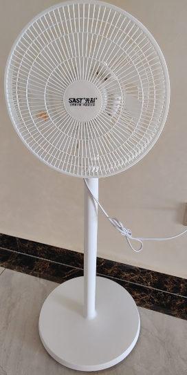 先科(SAST)电风扇/落地扇/台式风扇/台地两用/家用风扇/15叶大风量风扇 FD-271晒单图