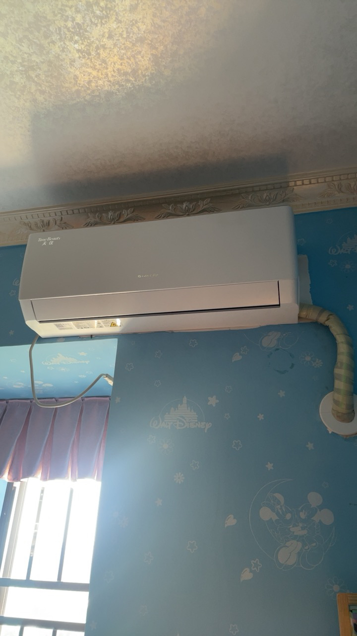 格力空调 天仪 大1匹新一级能效变频 家用卧室高温自清洁 壁挂式冷暖空调KFR-26GW/(26504)晒单图