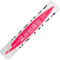 ENPEX乐士12只装训练级羽毛球NO.300