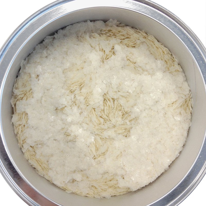 合生元婴幼儿有机多种谷粉1罐300g 美国原装进口宝宝辅食米糊高清大图