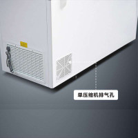 穗凌SUILING BD-508 508升卧式冷柜商用冰柜 冷冻冷藏转换 盖门单温一室冷冻 保鲜茶叶