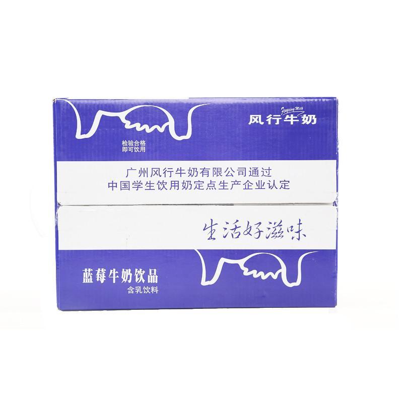 风行 蓝莓味 牛奶盒装 200ML*12 整箱