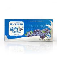 风行 蓝莓味 牛奶盒装 200ML*12 整箱