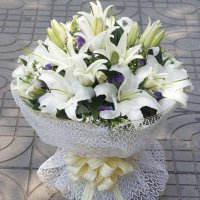 五二零 香水百合花束祝福鲜花速递全国 生日礼物预定配送 北京南京长沙贵阳杭州深圳广州上海同城花店送花上门