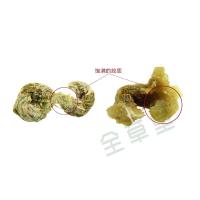 滇域茗草 云南铁皮石斛 铁皮枫斗(100g)