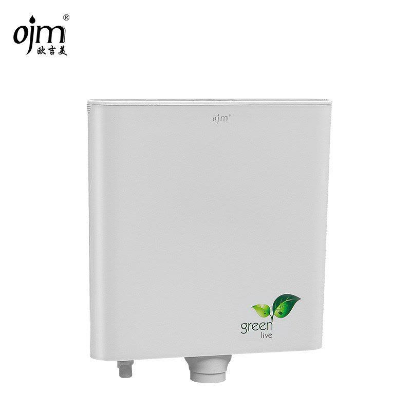 欧吉美 厕所水箱 蹲便器水箱 卫浴冲水箱 双按式节能水箱 OJM-08图片