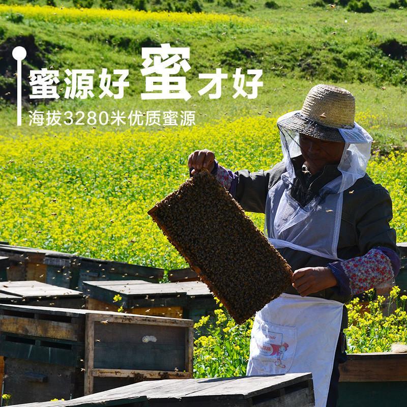 藏原蜜语 高原便携袋装纯蜂蜜小包装天然农家土蜂蜜糖240克*2盒
