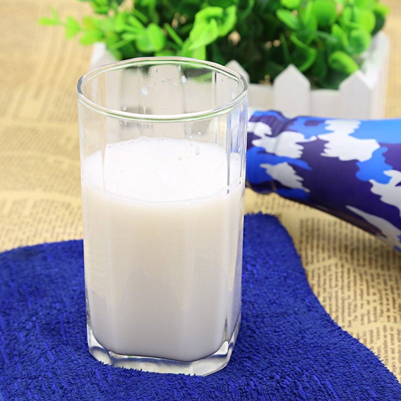 特种兵 生榨椰子汁植物蛋白饮料 1kg/瓶