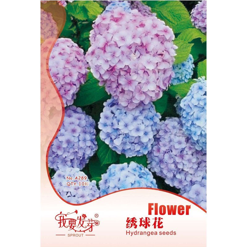 我要发芽园艺用品我要发芽花卉种子绣球花种子八仙花紫阳花盆栽紫绣球呈圆球状花又绿白粉红桃红和淡蓝色