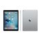 Apple iPad Pro 12.9英寸 平板电脑(32G WiFi版 ML0F2CH/A)深空灰
