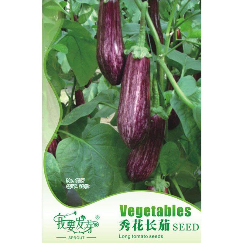 我要发芽 蔬菜种子 秀花长茄种子 花皮茄子 彩色茄瓜籽少 抗老化 抗病性强 20粒/包图片