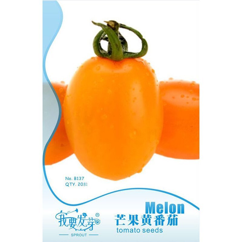 我要发芽蔬菜种子芒果黄番茄种子黄西红柿肉厚味甜食欲感强籽少不易