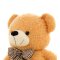 毛绒玩具泰迪熊1.6米毛熊公仔大号抱抱熊布娃娃情人节生日礼物女