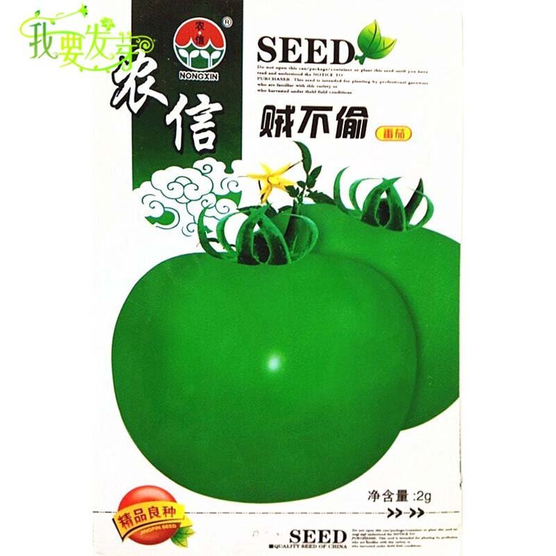我要发芽 蔬果种子 贼不偷番茄种子 中熟绿蕃茄 洋柿子 酸甜适中籽少 2g/包