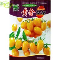 我要发芽 蔬菜种子 黄金圣女番茄种子 圣女果小番茄 早熟 耐低温抗热 5g/包