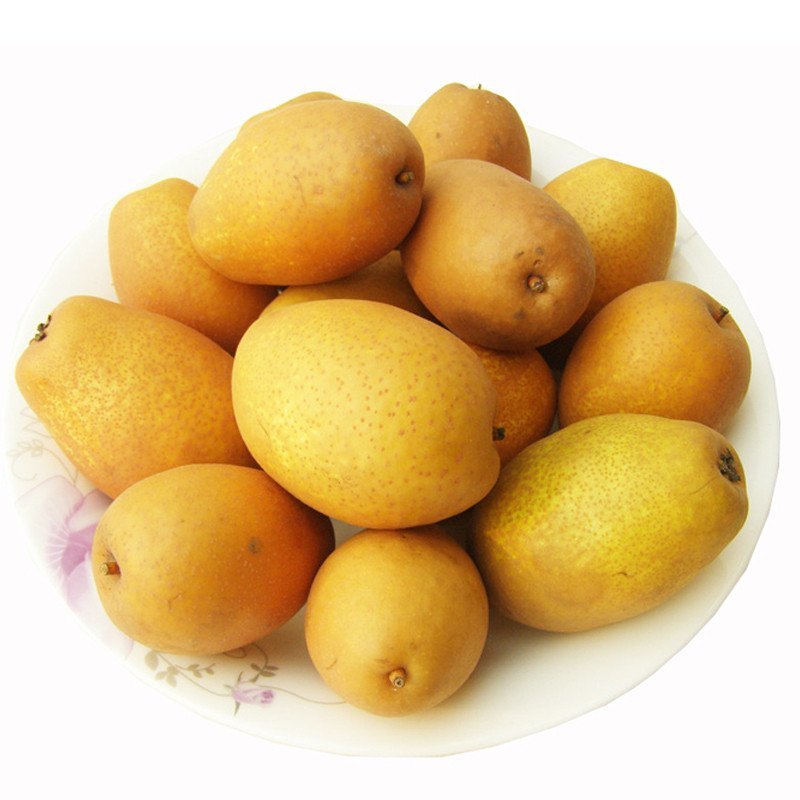 中华特色馆洛宁馆洛宁特产金珠果沙梨王5kg礼盒装顺丰包邮