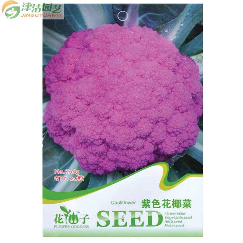 津沽园艺 蔬菜种子 紫色花椰菜种子 紫色菜花种子 易活约20粒图片