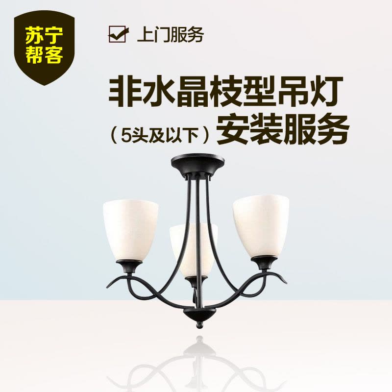 非水晶枝型吊灯安装（5头及以下）苏宁帮客灯具安装上门服务图片