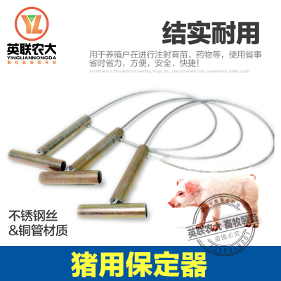 洋子(YangZi)套猪器 猪套子 铜管不锈钢丝猪用打针保定器 套头器 养猪用品器械