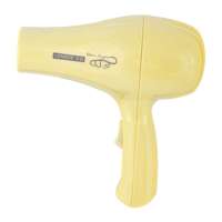 龙的电吹风NK-202