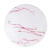 飞利浦佳云电子吸顶灯TCS288(粉)