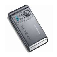 索尼爱立信手机W380C(魔力灰)