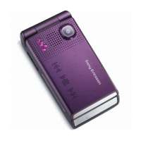 索尼爱立信手机W380C(电光紫)