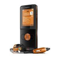 索尼爱立信手机W350C(金砂黑)