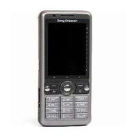 索尼爱立信手机G700C(矿银灰)