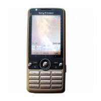 索尼爱立信手机G700C(丝缎铜)