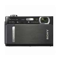 索尼数码相机DSC-T500(黑)+2G记忆棒
