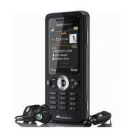 索尼爱立信手机W302C(午夜黑)