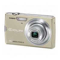 卡西欧数码相机Z250(金色GD)