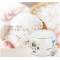 东芝(TOSHIBA)电饭煲RC-N5NJ 电饭煲1.5L迷你家用小型母婴电饭锅1人-2人