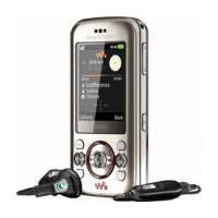 索尼爱立信手机W395c(香槟金)