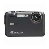 卡西欧数码相机FS10 GY(灰)