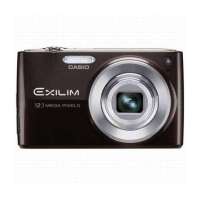 卡西欧数码相机Z400 BN(棕)