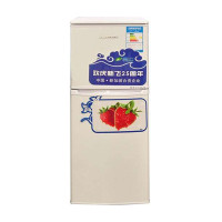 新飞冰箱BCD-108CT