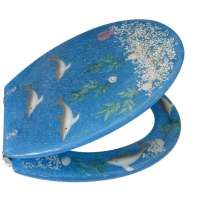 长连加贝马桶盖A079-18寸