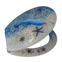 长连加贝马桶盖A171-18寸