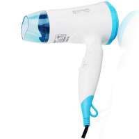 龙的电吹风NK-250