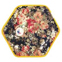 红泰电热袋HT-8804