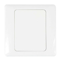 西蒙55系列空白盖板N51000(10只装)