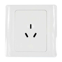 西蒙55系列两极带接地插座N51081(10只装)