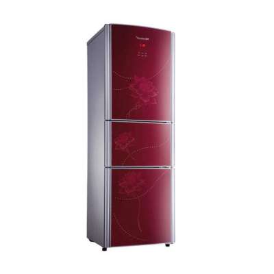 容声冰箱BCD-232WPMB/X1-DT61(JDXX)